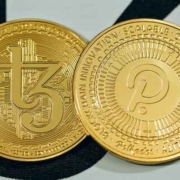 polkadot coin