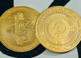 polkadot coin