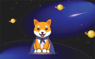 baby doge token hindi