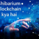 Shibarium Blockchain in Hindi